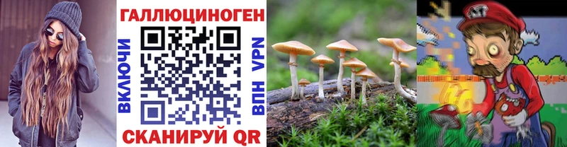 Галлюциногенные грибы GOLDEN TEACHER  Нюрба 