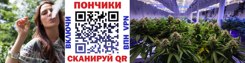 сайты даркнета официальный сайт  Нюрба  Бошки Шишки конопля 